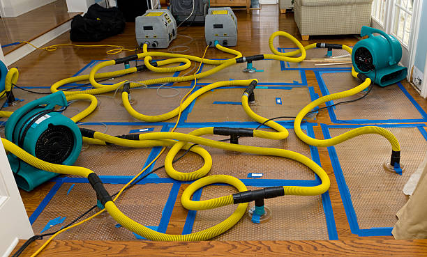 Professional Basement Flood Cleanup technician working in Decatur, GA